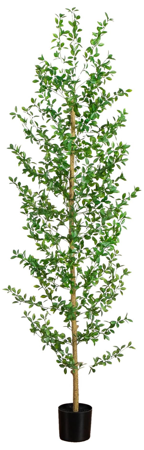 Image 2 6ft. Artificial Shady Lady Black Olive Tree