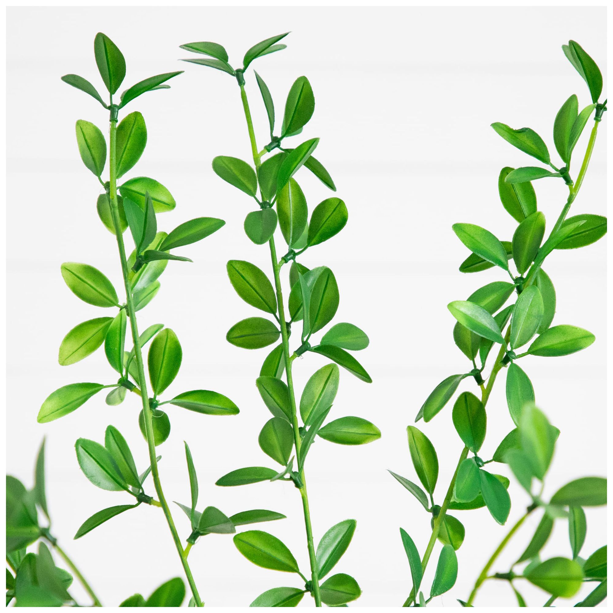 Image 4 6ft. Artificial Shady Lady Black Olive Tree more views