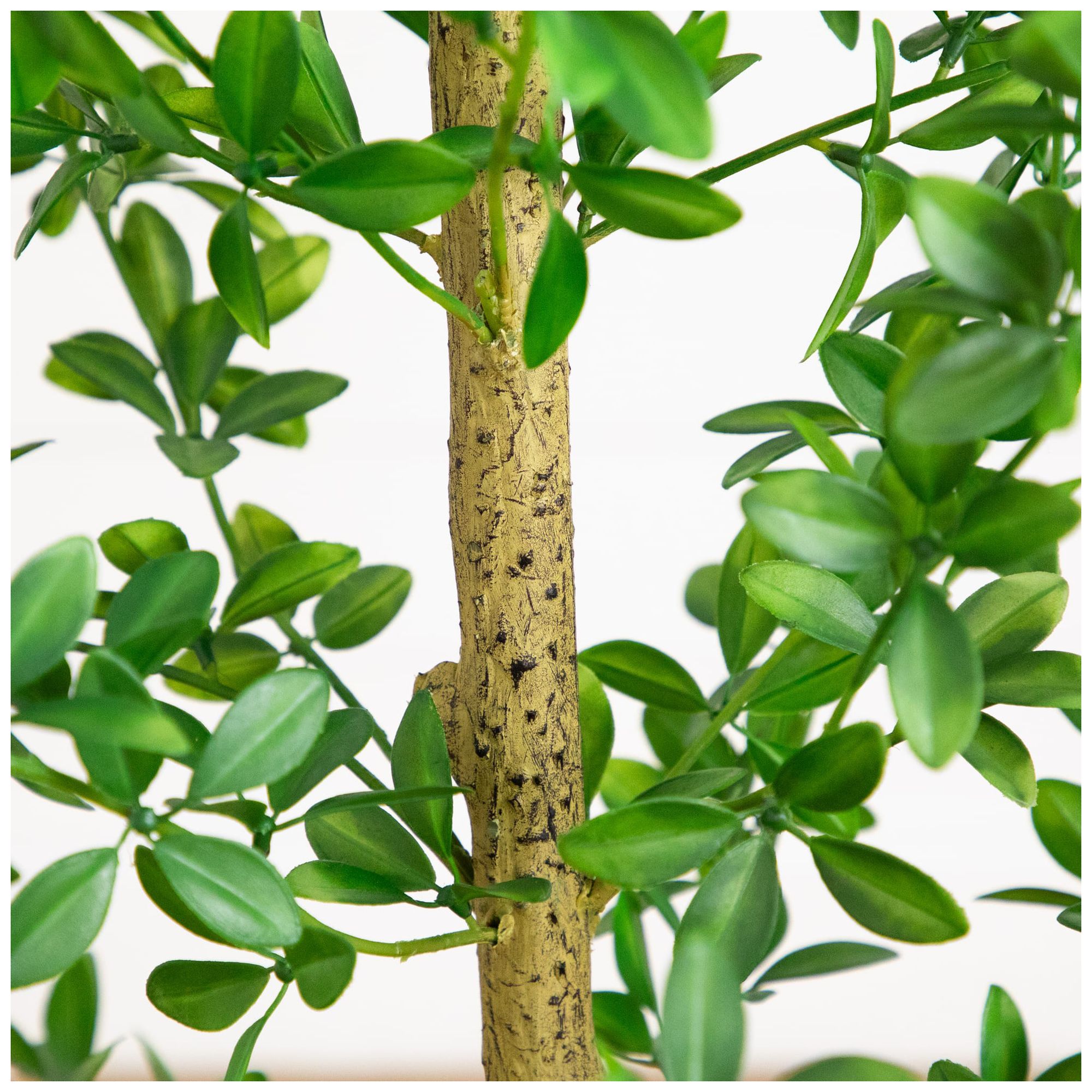 Image 6 6ft. Artificial Shady Lady Black Olive Tree more views