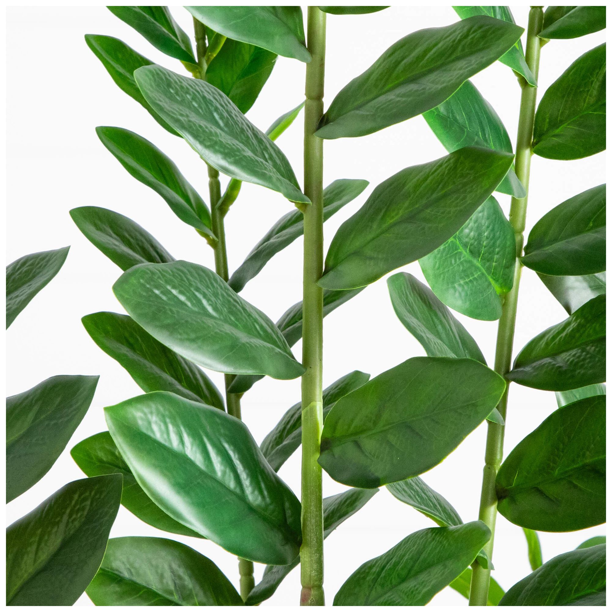 Image 4 6ft. Artificial Zamioculcas Plant more views