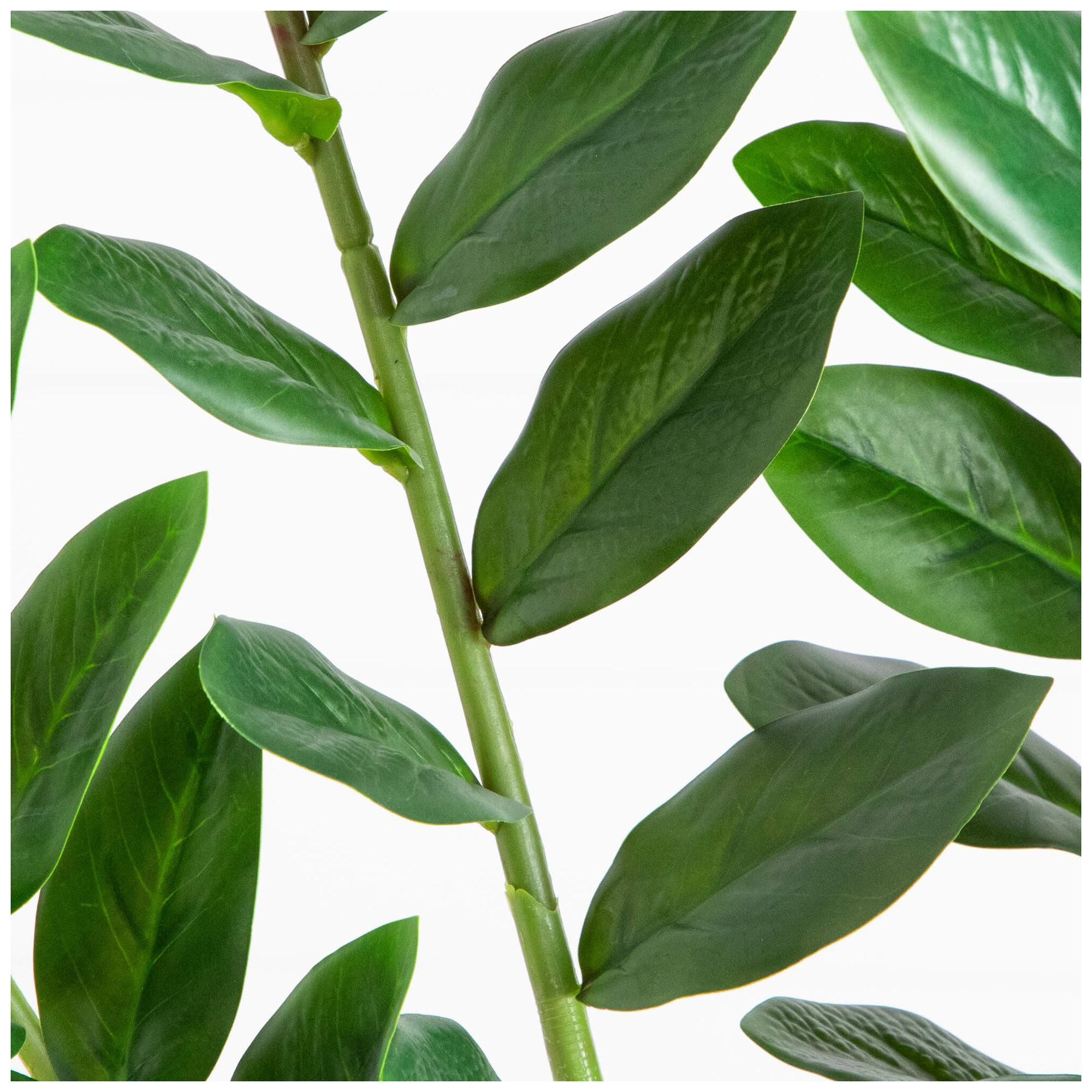 Image 5 6ft. Artificial Zamioculcas Plant more views