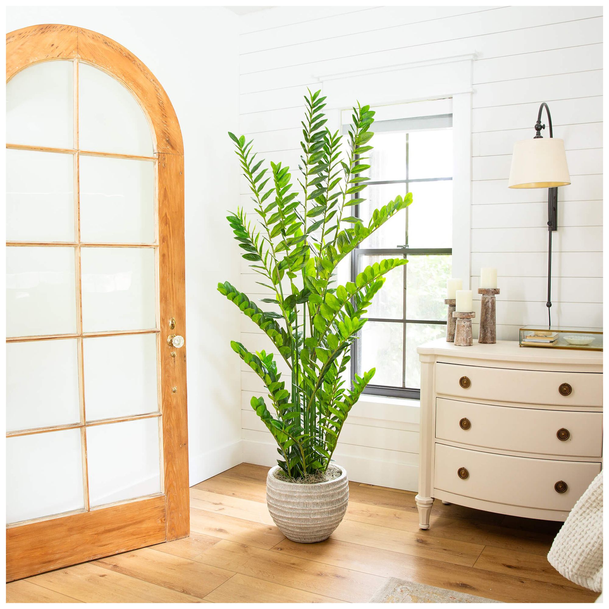 6ft. Artificial Zamioculcas Plant