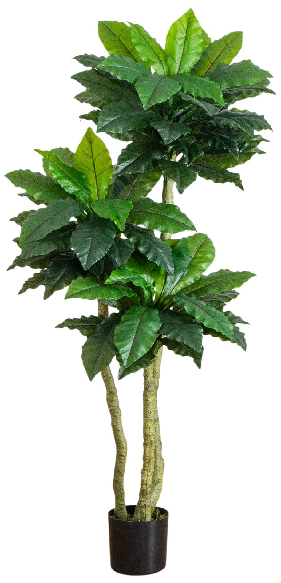 Image 2 6ft. UV Resistant Artificial Bird Nest Fern Tree (Indoor/Outdoor)