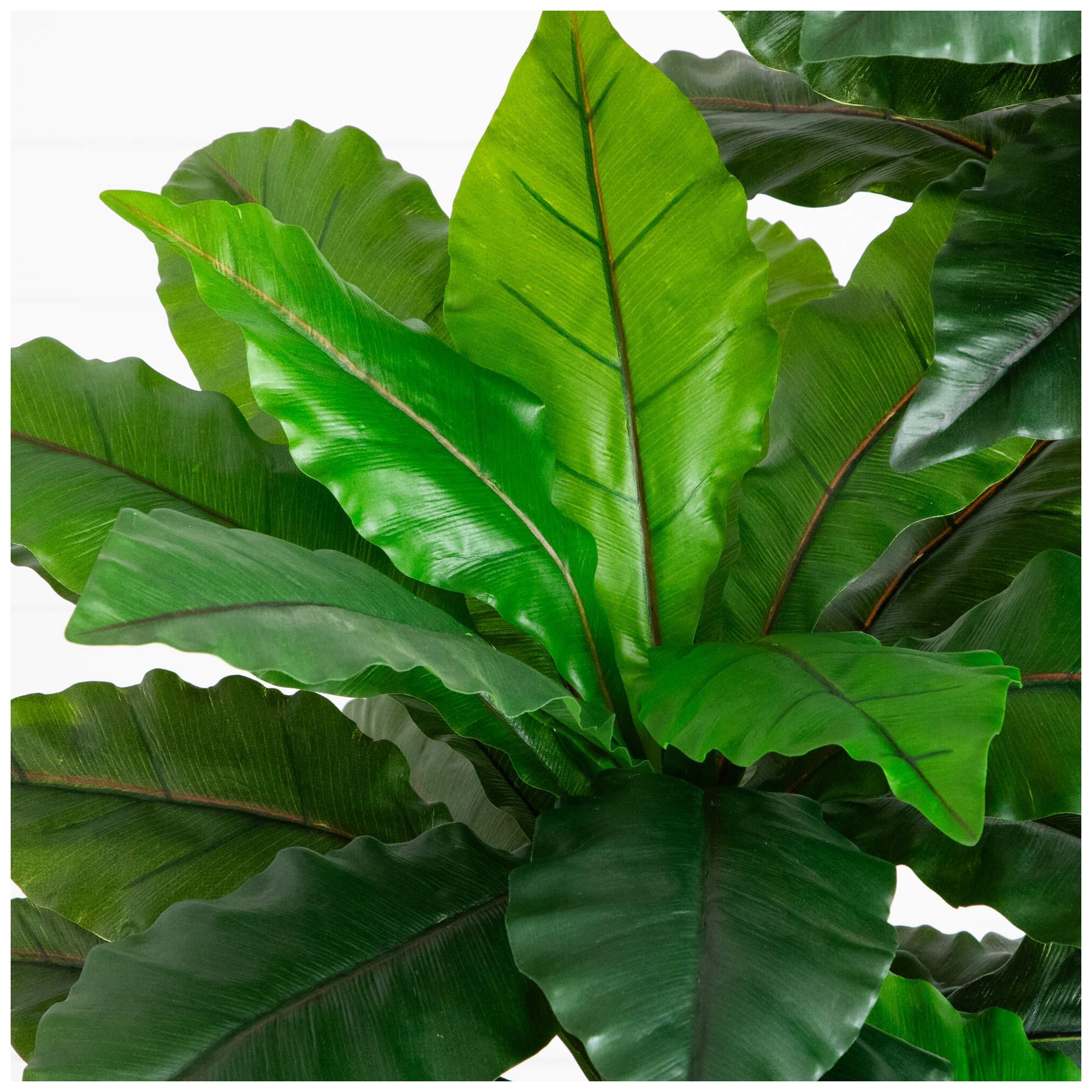 Image 4 6ft. UV Resistant Artificial Bird Nest Fern Tree (Indoor/Outdoor) more views