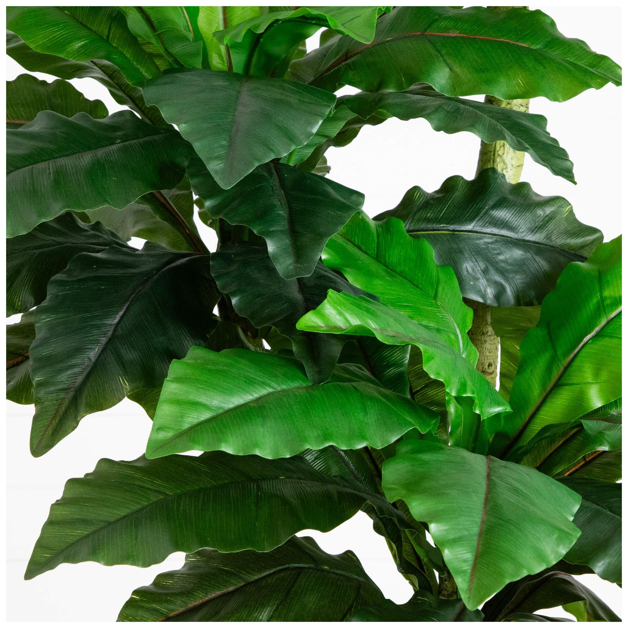 Image 5 6ft. UV Resistant Artificial Bird Nest Fern Tree (Indoor/Outdoor) more views