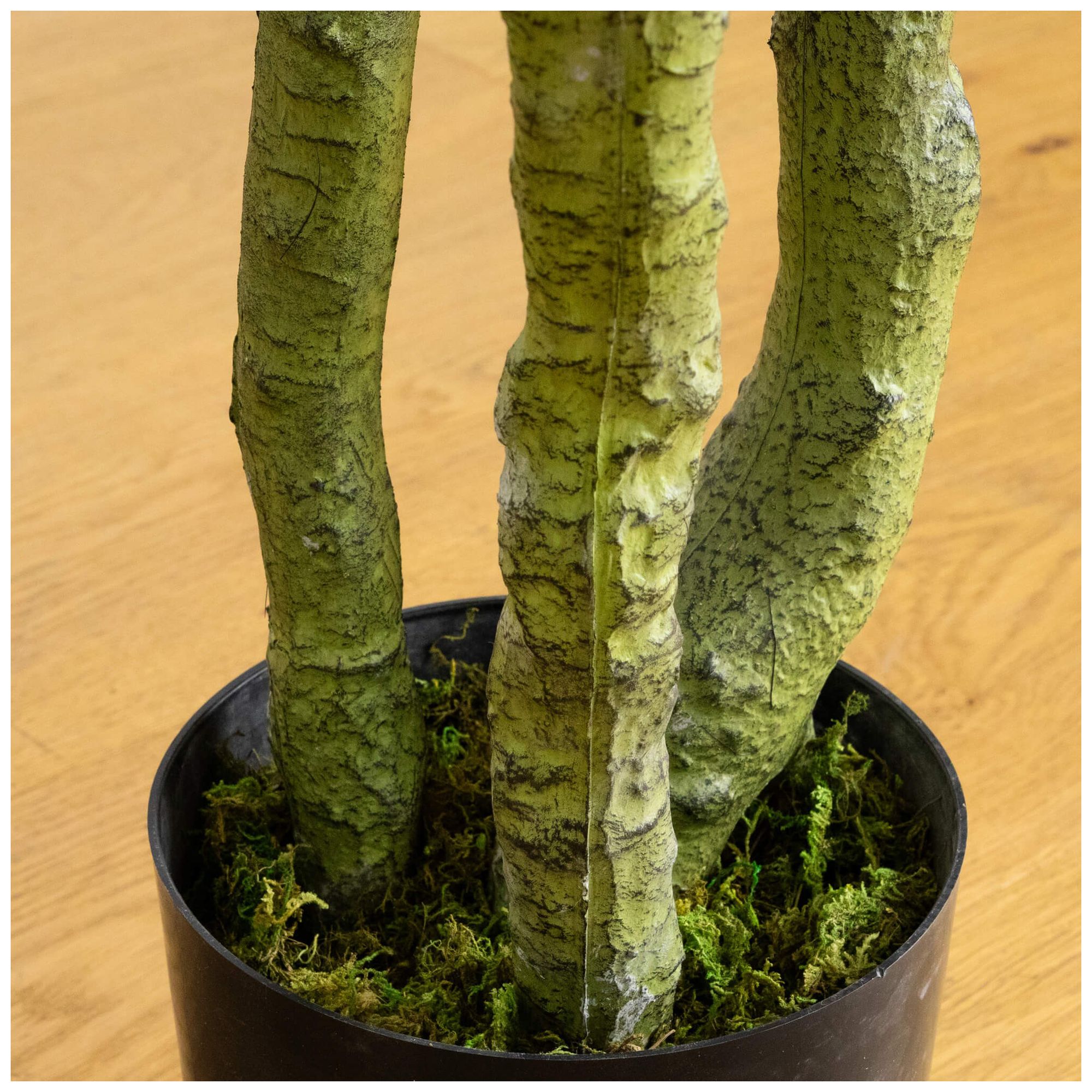 Image 7 6ft. UV Resistant Artificial Bird Nest Fern Tree (Indoor/Outdoor) more views