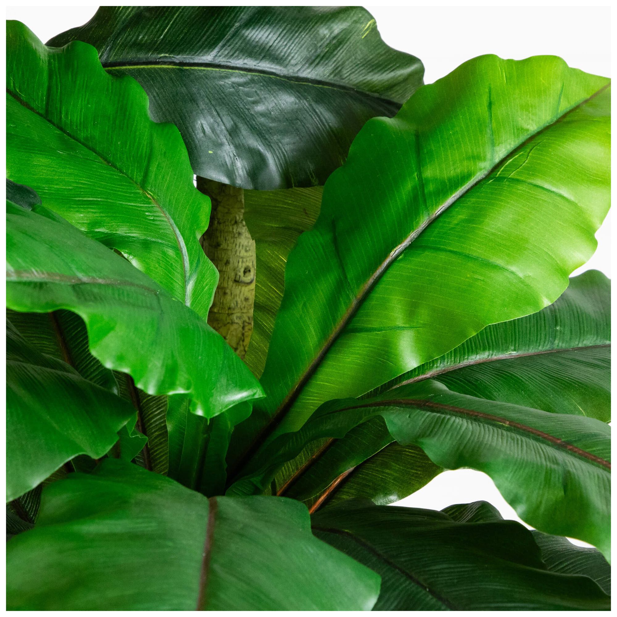 6ft. UV Resistant Artificial Bird Nest Fern Tree (Indoor/Outdoor)