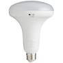 75W Equivalent Frosted 13W LED Dimmable Standard BR40