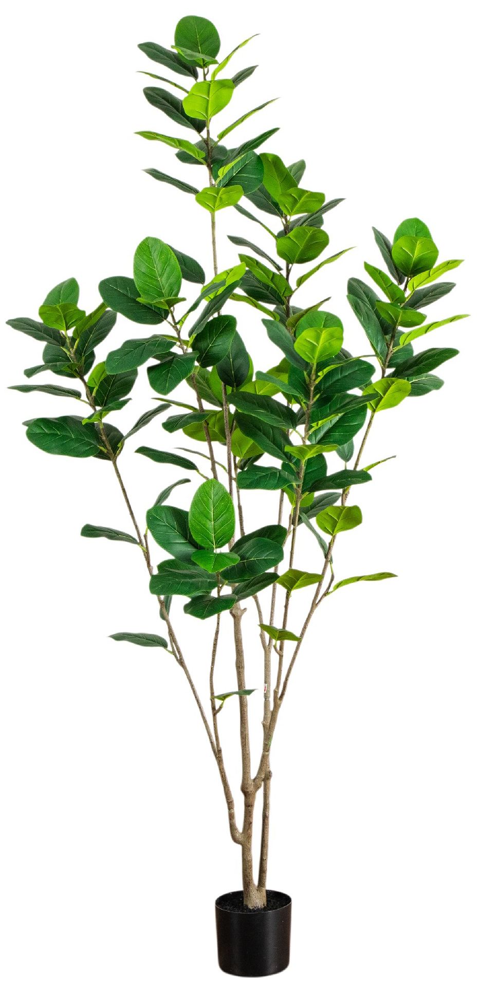 Image 2 7ft. Artificial Minimalist Audrey Ficus Tree