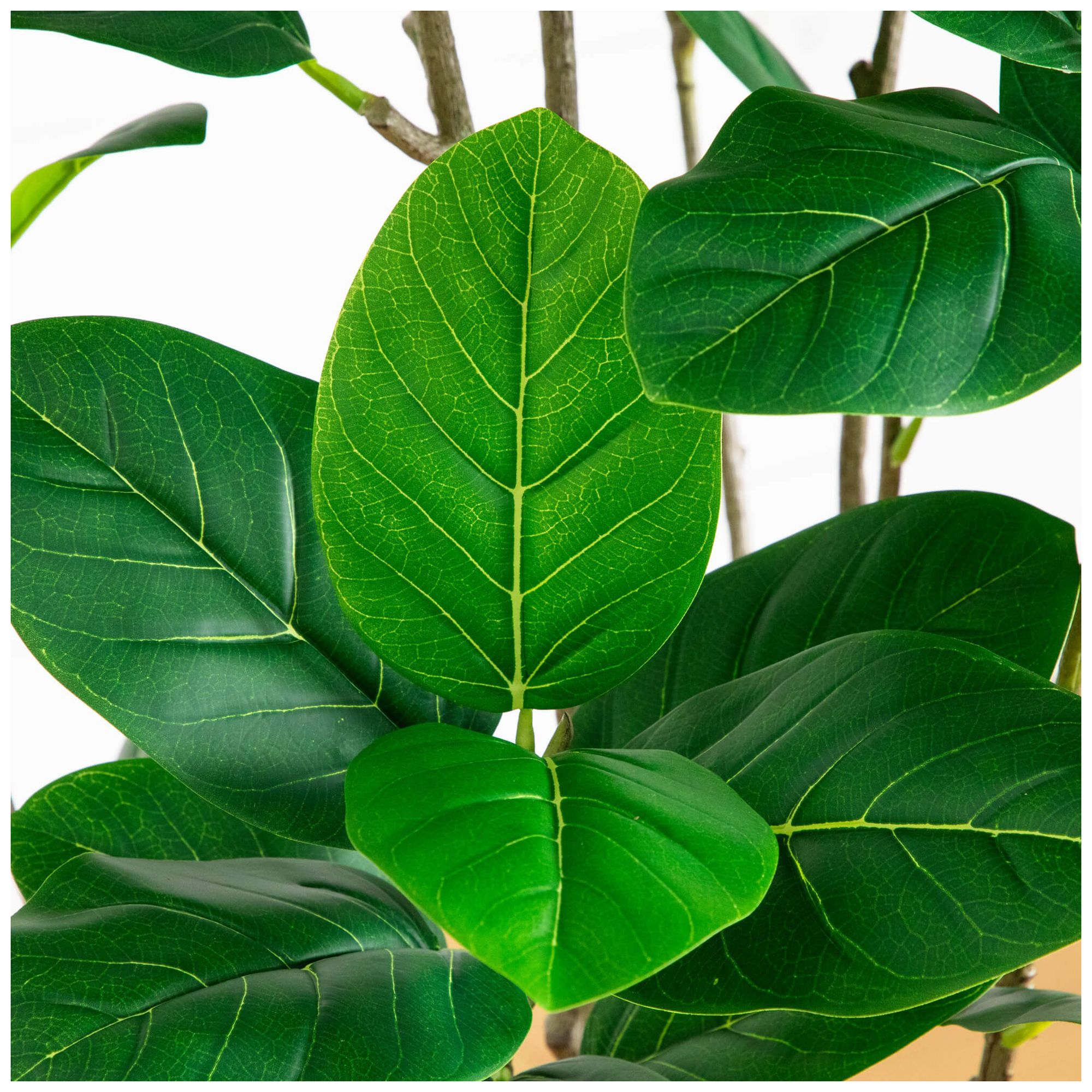 Image 4 7ft. Artificial Minimalist Audrey Ficus Tree more views