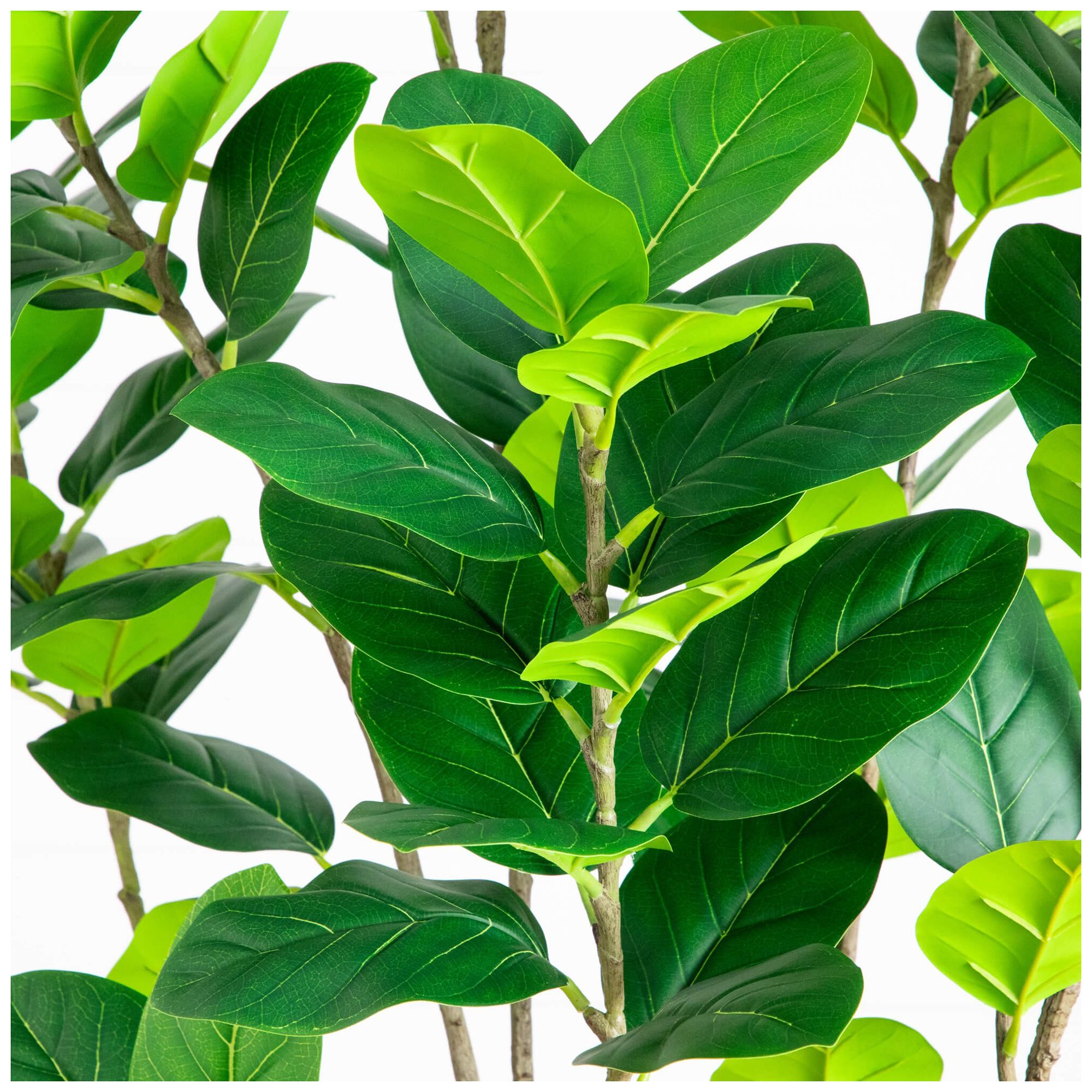 Image 5 7ft. Artificial Minimalist Audrey Ficus Tree more views