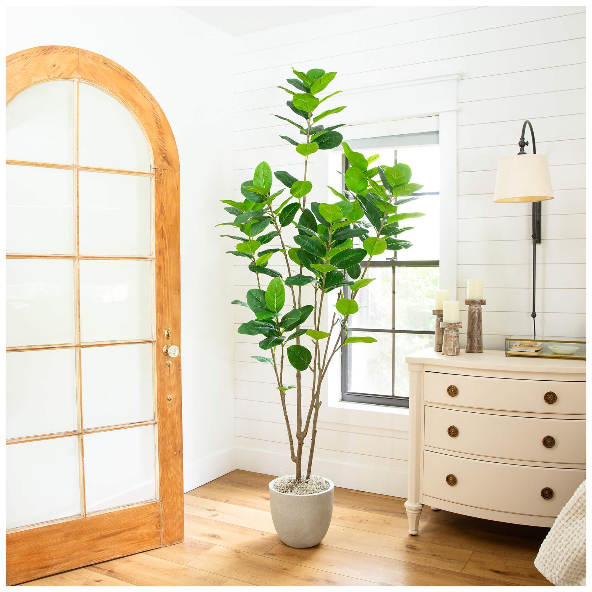 7ft. Artificial Minimalist Audrey Ficus Tree