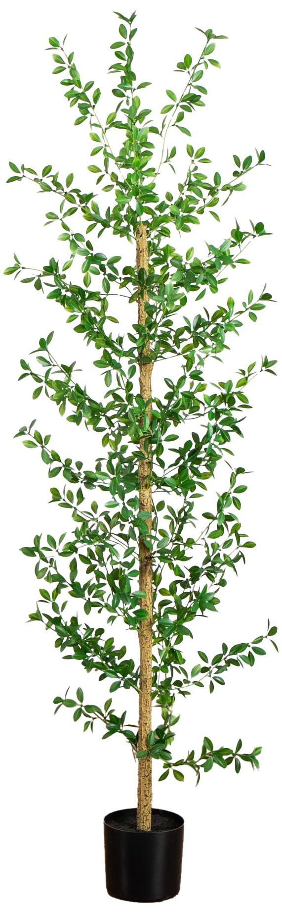 Image 2 7ft. Artificial Shady Lady Black Olive Tree