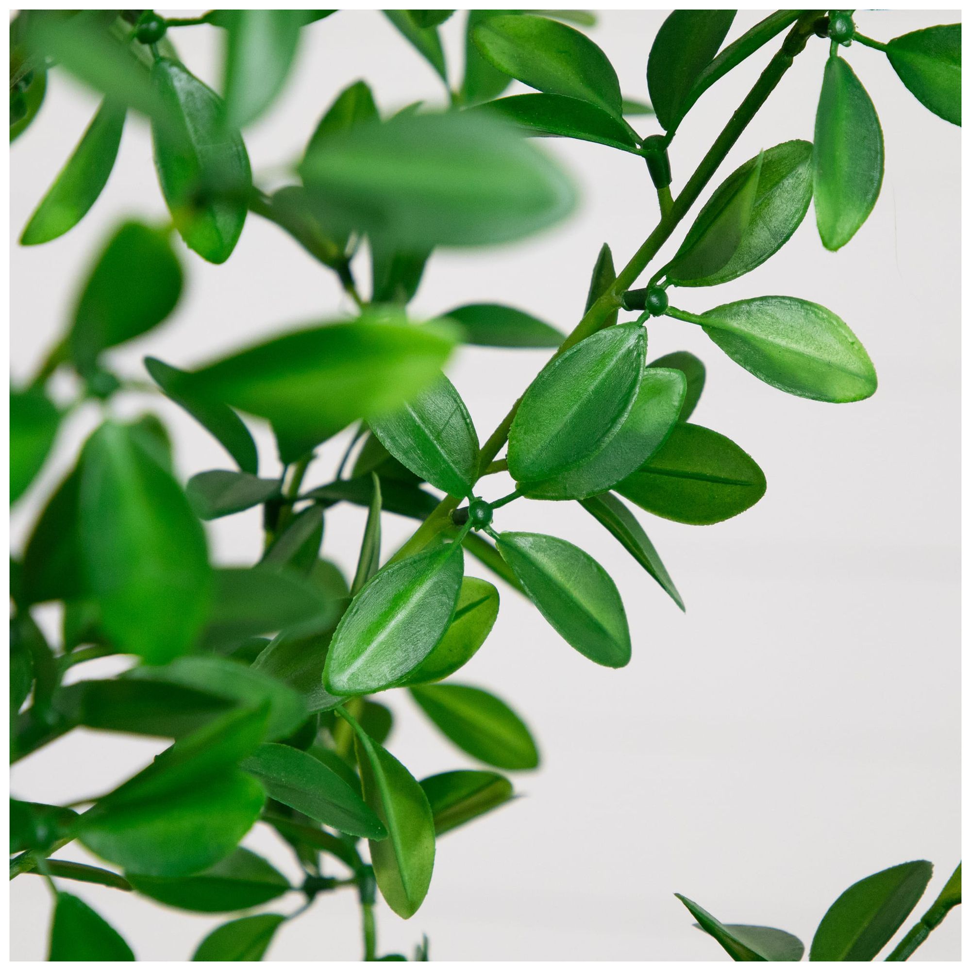 Image 4 7ft. Artificial Shady Lady Black Olive Tree more views