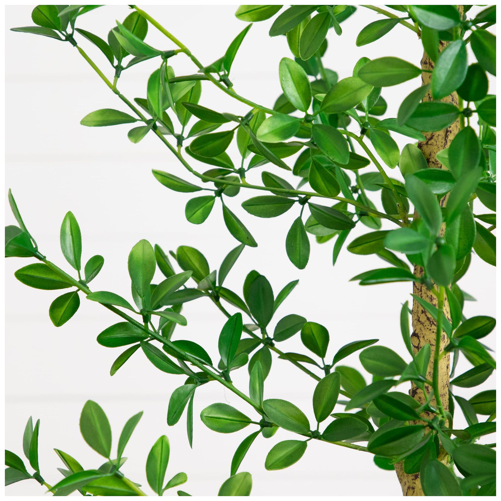 Image 5 7ft. Artificial Shady Lady Black Olive Tree more views