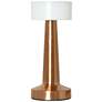 8.5" Mushroom Magic Dimming & Rechargeable Touch Sensor Desk Lamp,