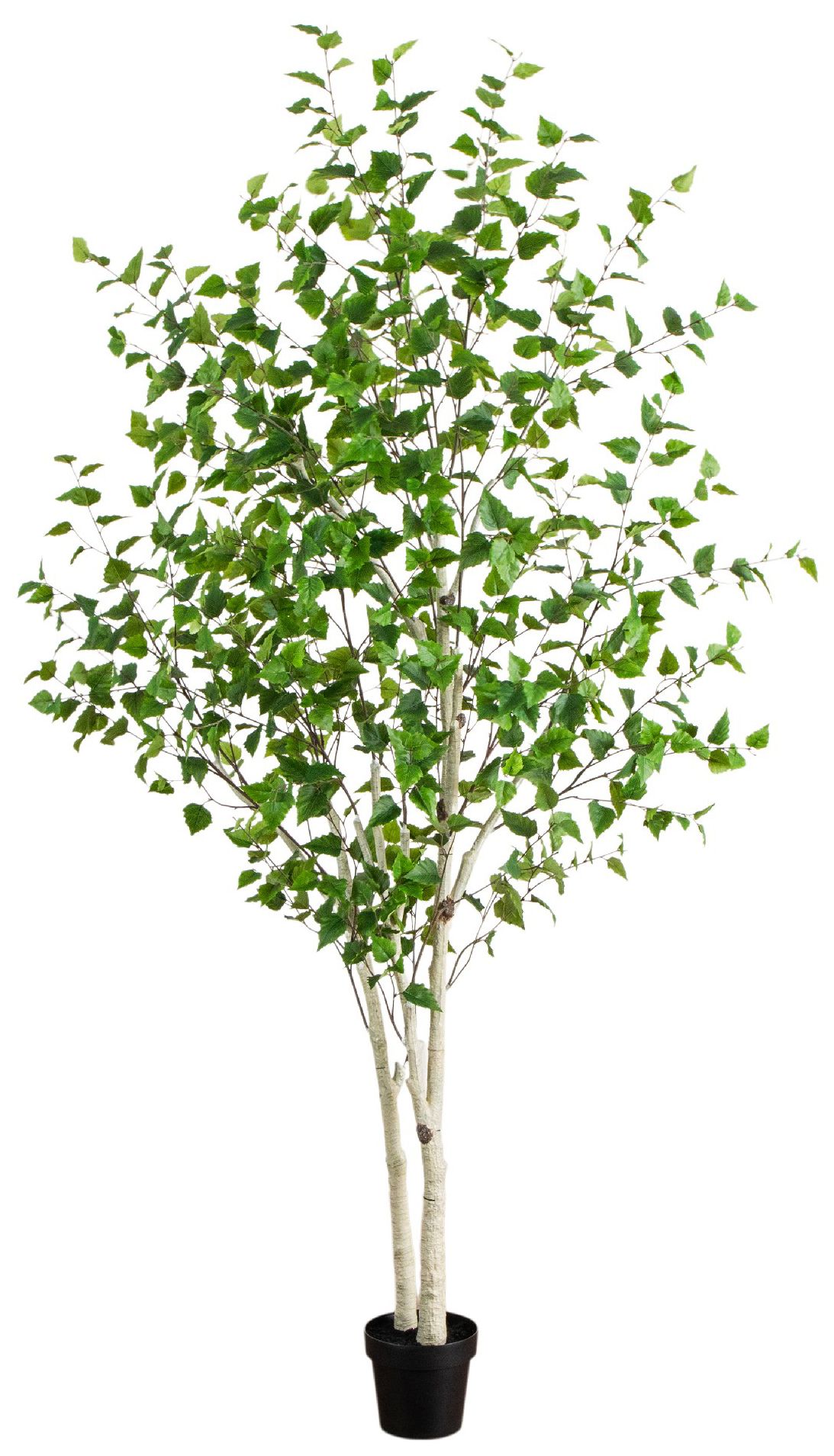 Image 2 8ft. Artificial Birch Tree with Real Touch Leaves