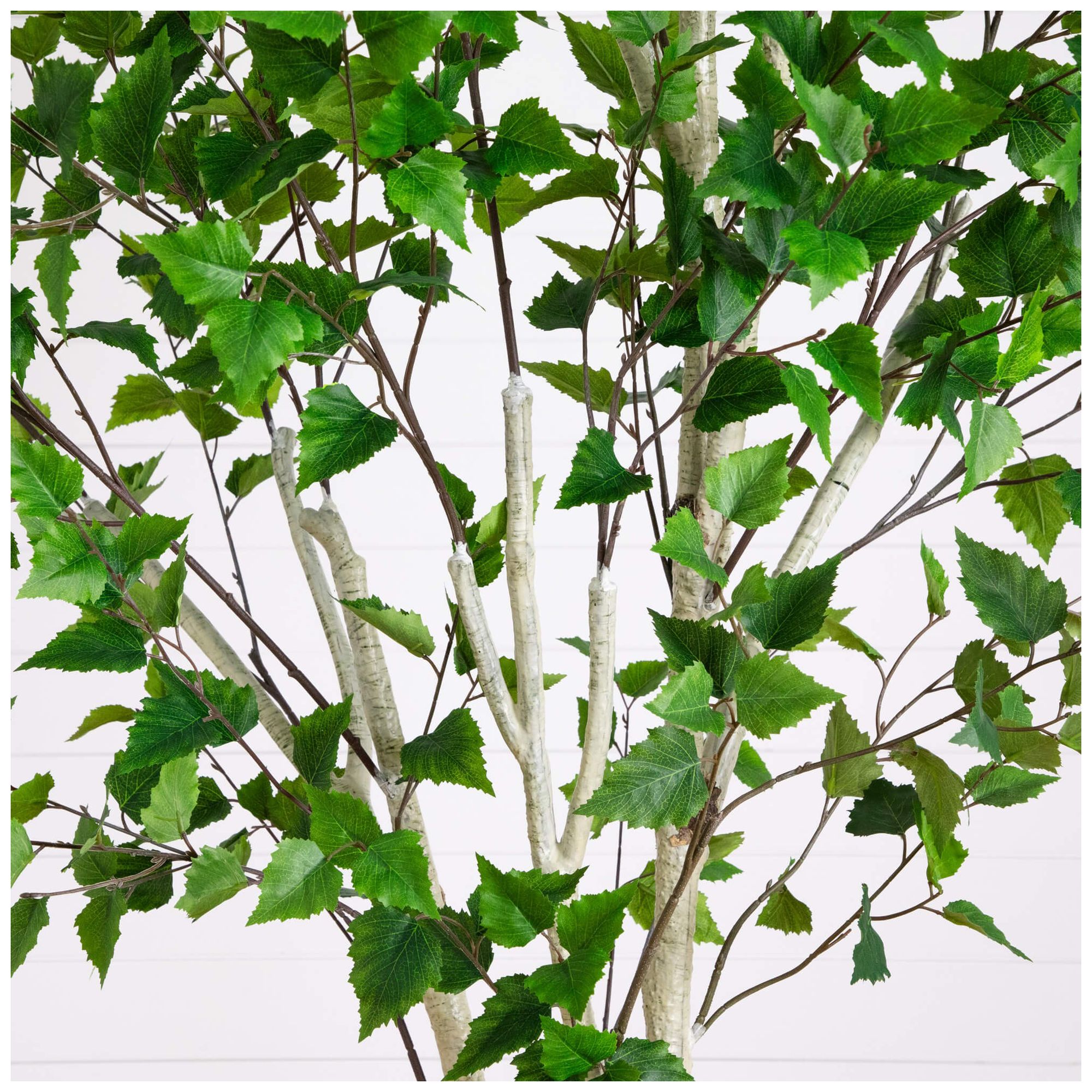 Image 4 8ft. Artificial Birch Tree with Real Touch Leaves more views