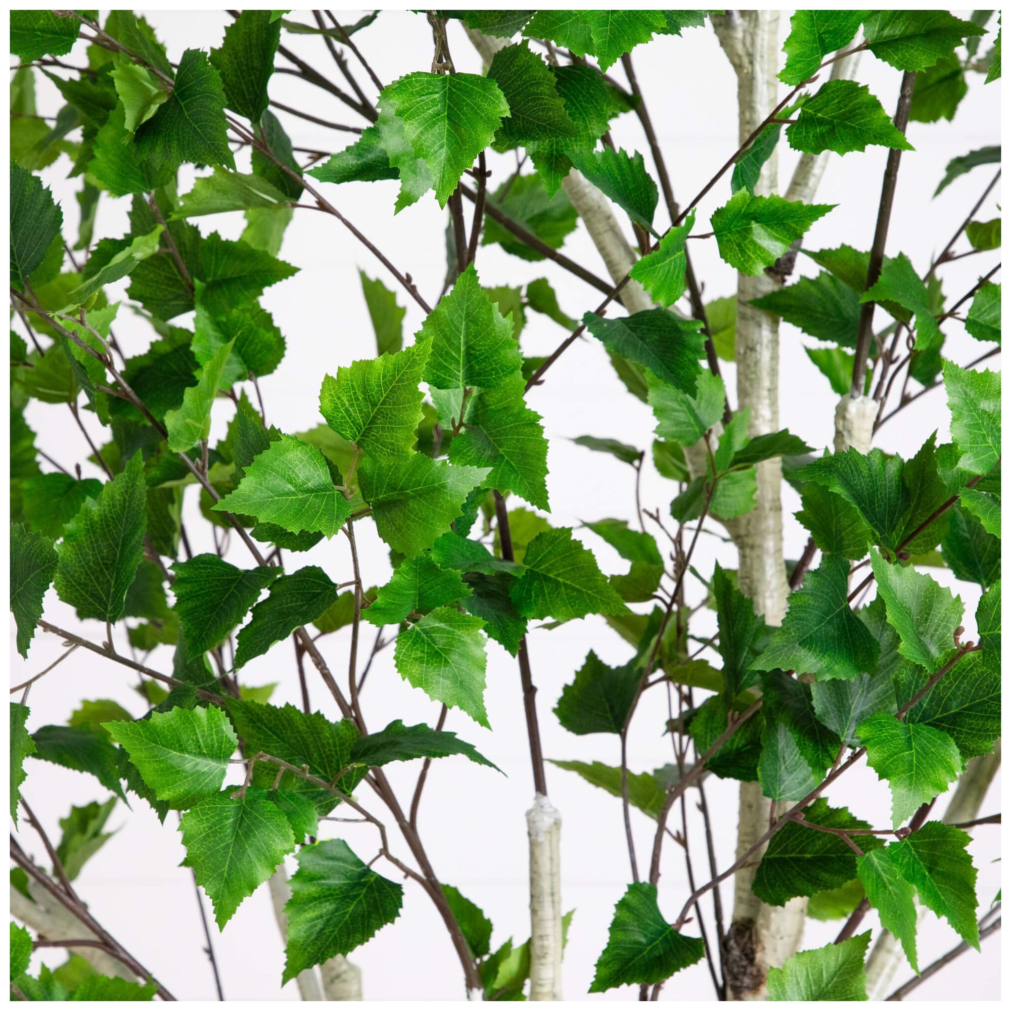 Image 5 8ft. Artificial Birch Tree with Real Touch Leaves more views