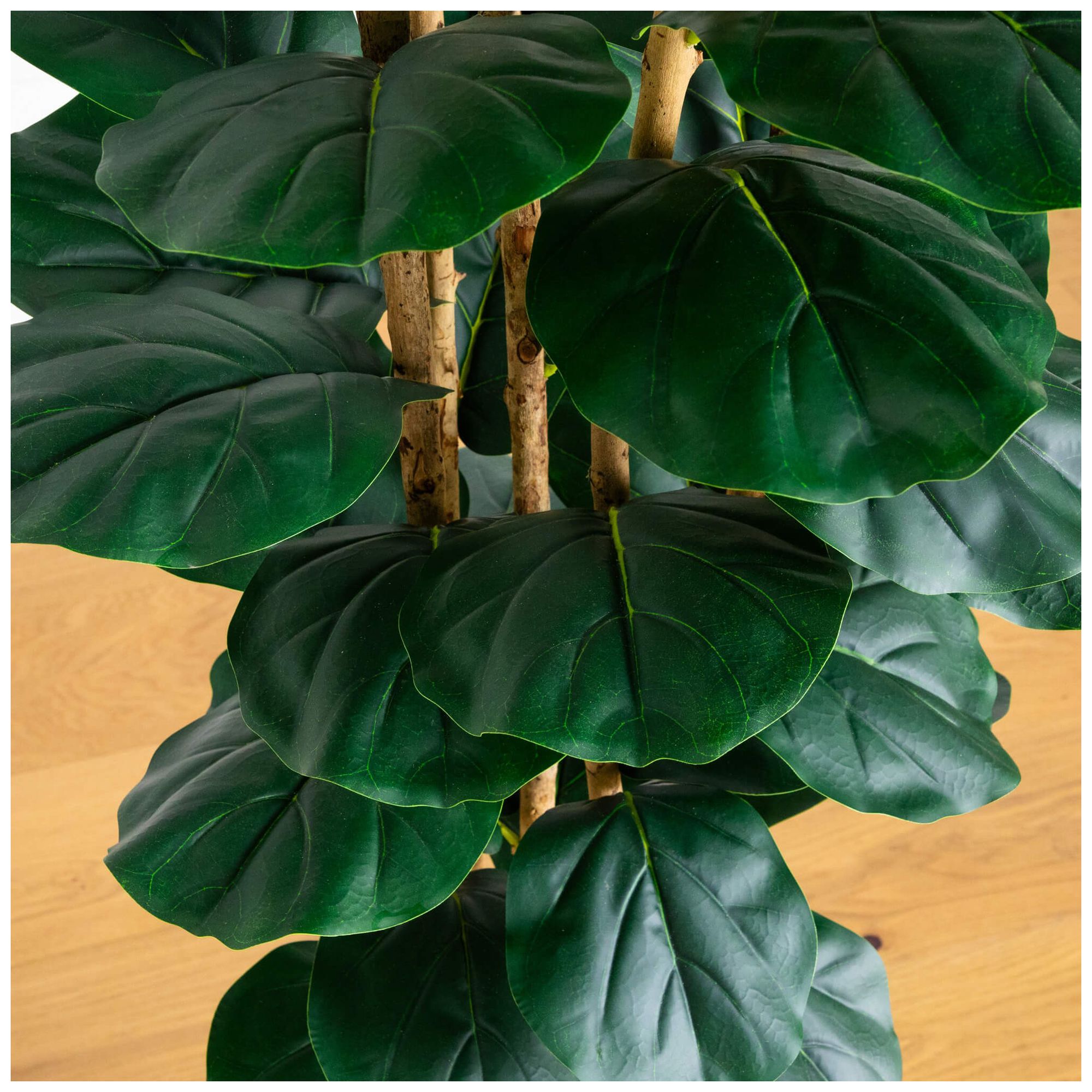 Image 4 8ft. Artificial Fiddle Leaf Tree in Decorative White Planter more views