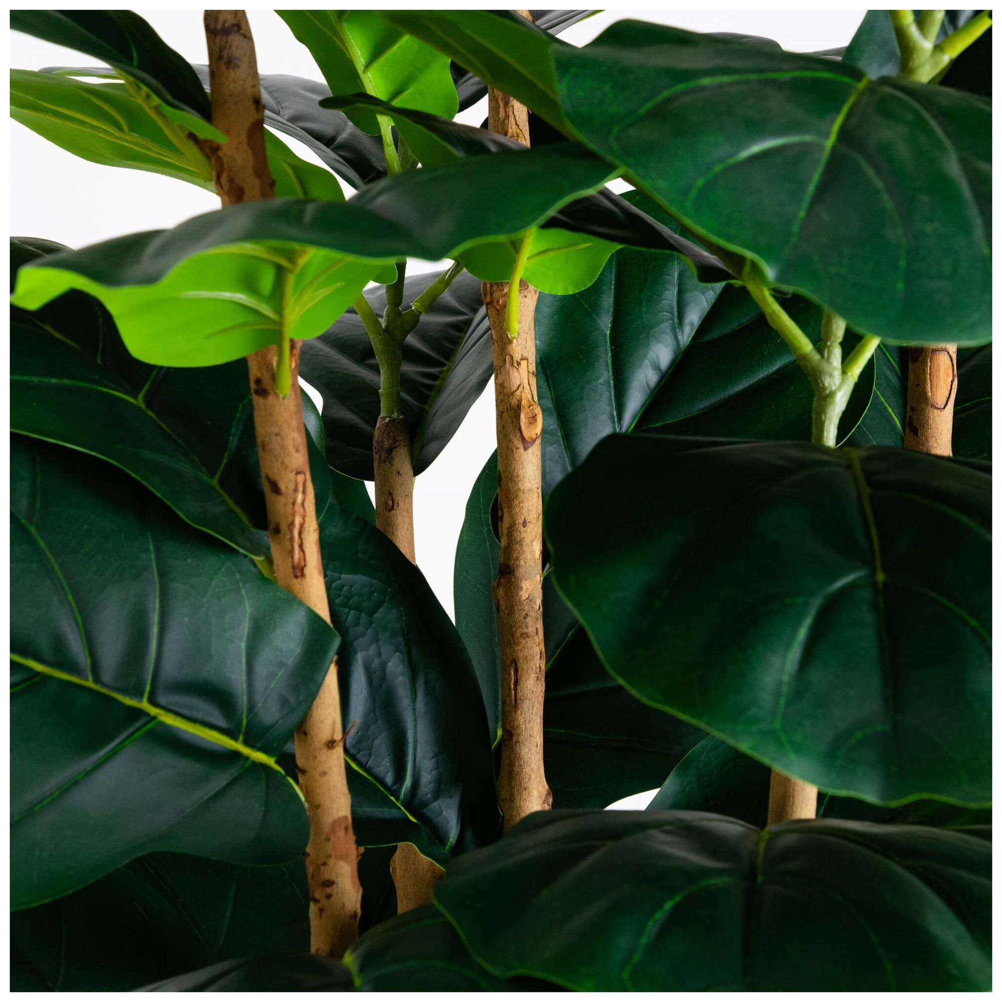 8ft. Artificial Fiddle Leaf Tree in Decorative White Planter