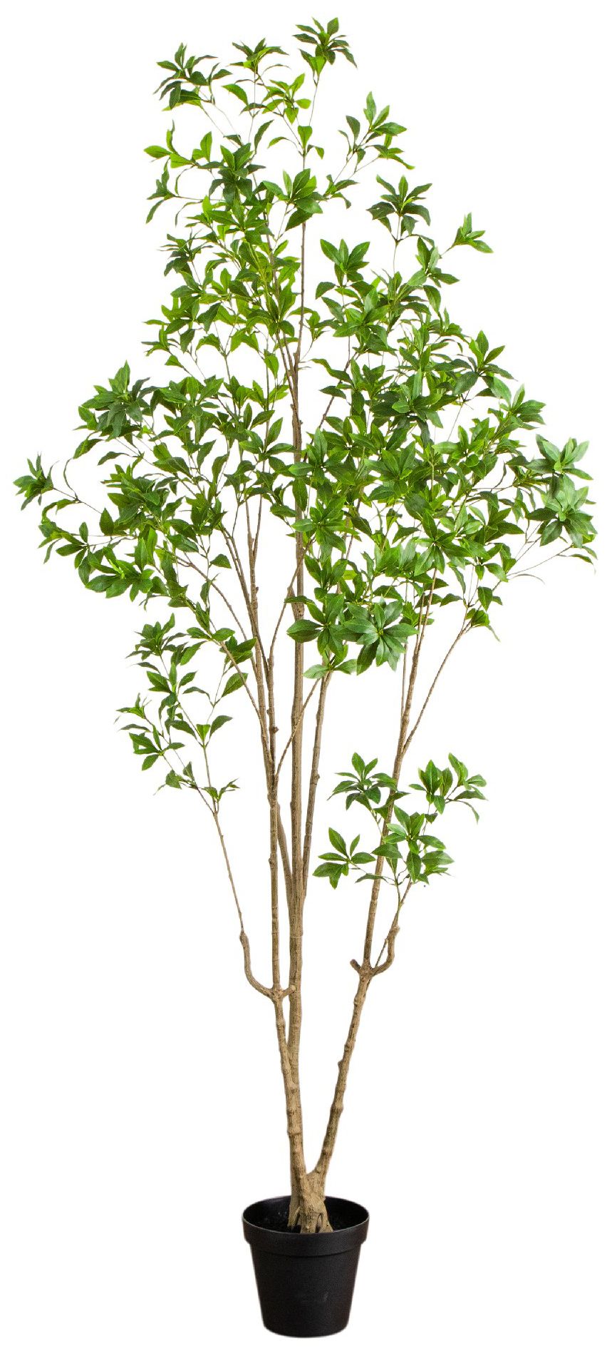 Image 2 8ft. Artificial Minimalist Japanese Pieris Tree