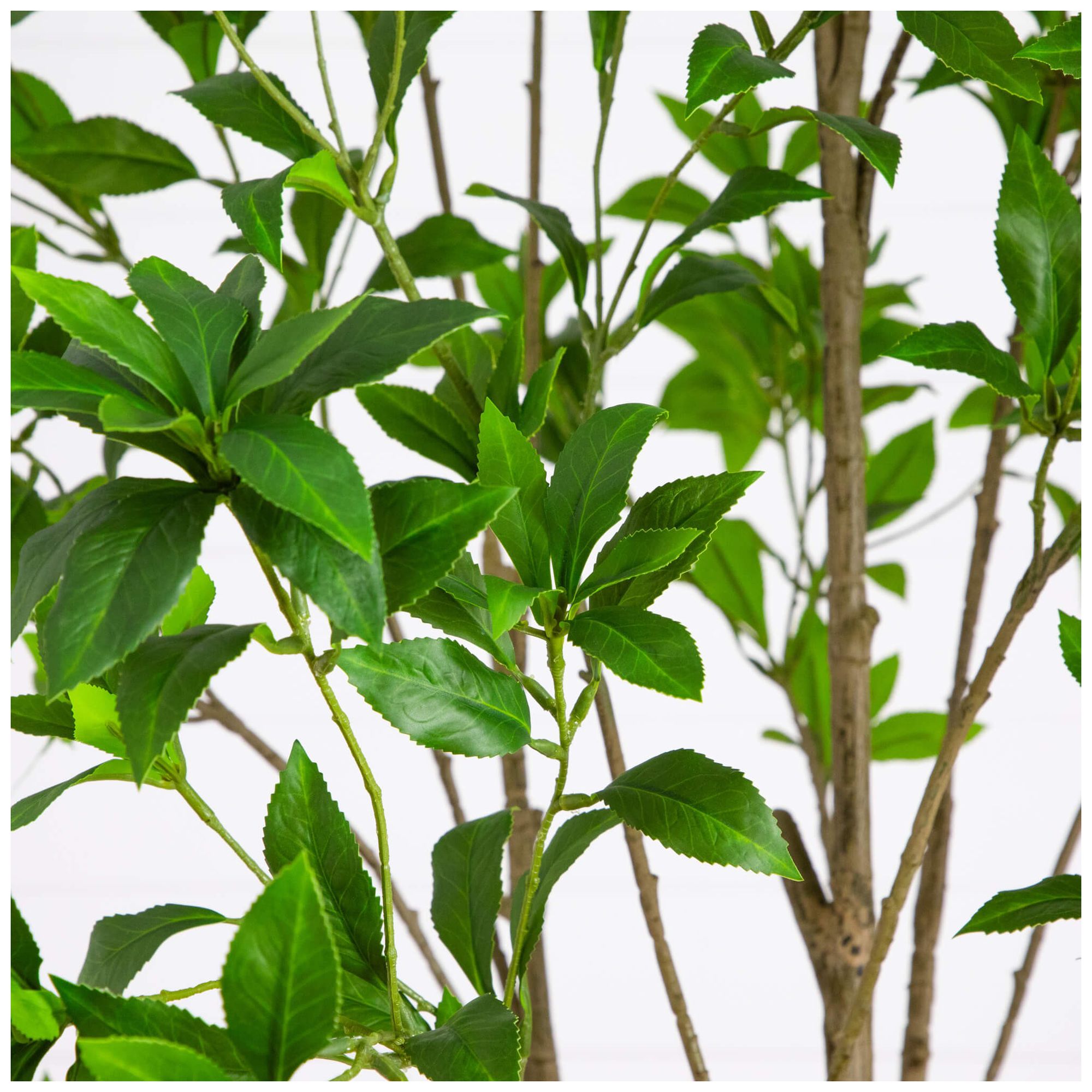 Image 4 8ft. Artificial Minimalist Japanese Pieris Tree more views