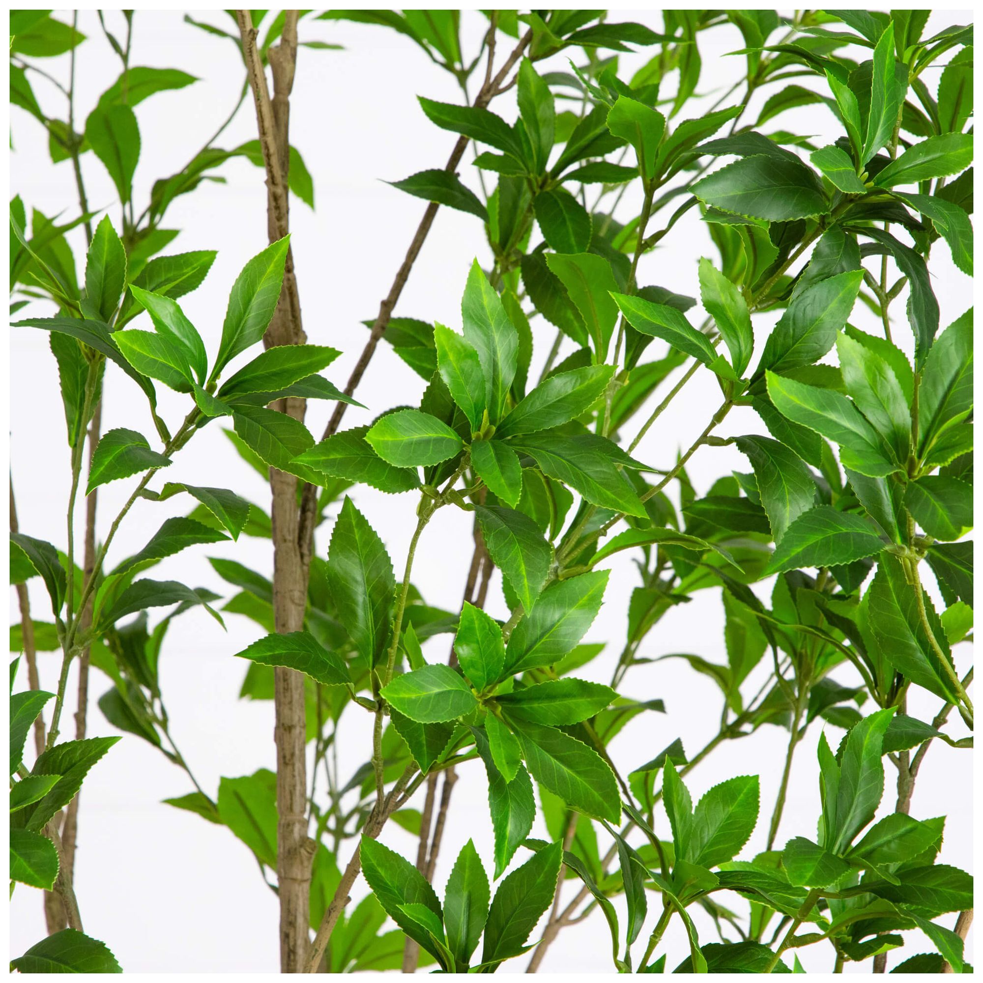 Image 5 8ft. Artificial Minimalist Japanese Pieris Tree more views