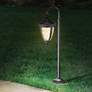 Bellagio 26 1/2" High Black Down-Arm Landscape LED Path Light in scene