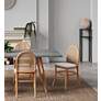 Paragon Matte Nature Wood and Cane Dining Chairs Set of 2 in scene