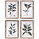 Aba Botanical 20 3/4" High 4-Piece Framed Wall Art Set