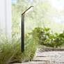 1_Abba Allegro 24" High Stainless Steel LED Landscape Path Light