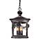 Abbey Lane Collection 16 1/2" High Outdoor Hanging Light