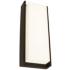 ABRA Titon Wet Location  LED Wall Fixture  Black