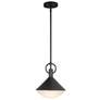 1_Abruzzo 21.5" Wide Black Pendant