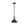 4_Abruzzo 21.5" Wide Black Pendant more views