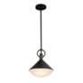 5_Abruzzo 21.5" Wide Black Pendant more views