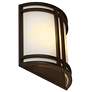 3_Access Artemis Collection 11 1/2" High Outdoor Sconce more views