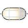 Access Lighting Nauticus 8 1/4" Wide White LED Outdoor Wall Light