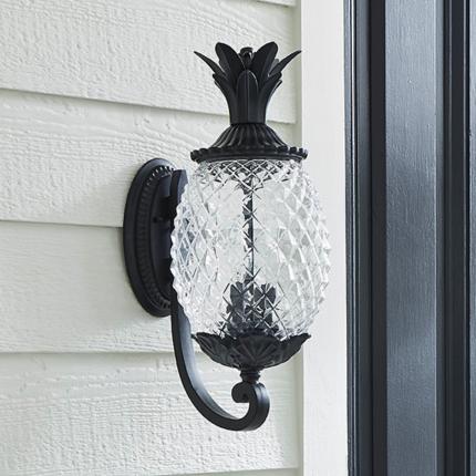 Acclaim Lighting Lanai Collection