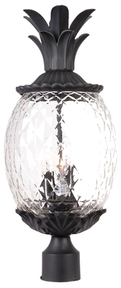 Acclaim Lighting Lanai Collection