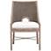 Adamo Dining Chair, French Gray Cabana Loom, Set of 2