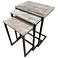 Addison Aged Iron Base Natural Driftwood Top Nesting Table Set