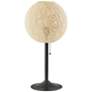 1_Adesso Havana 24" Modern Dark Bronze Paper Shade Table Lamp