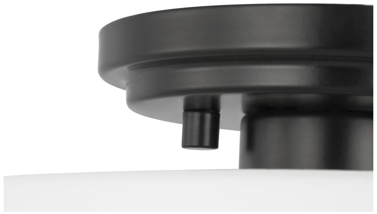 Adley Collection One-Light Etched Opal Glass Flush Mount Light