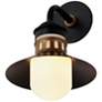 4_Admiralty 1-Light Outdoor Wall Sconce - Black/Antique Brass more views