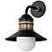 Admiralty 1-Light Outdoor Wall Sconce - Black/Antique Brass