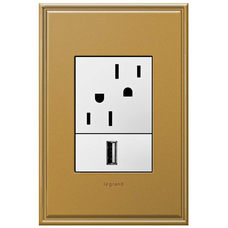 Image 1 adorne Antique Bronze 1-Gang+ Cast Metal Wall Plate with Outlets
