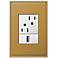 adorne Antique Bronze 1-Gang+ Cast Metal Wall Plate with Outlets
