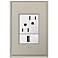 adorne Antique Nickel 1-Gang+ Cast Metal Wall Plate w/ Outlets
